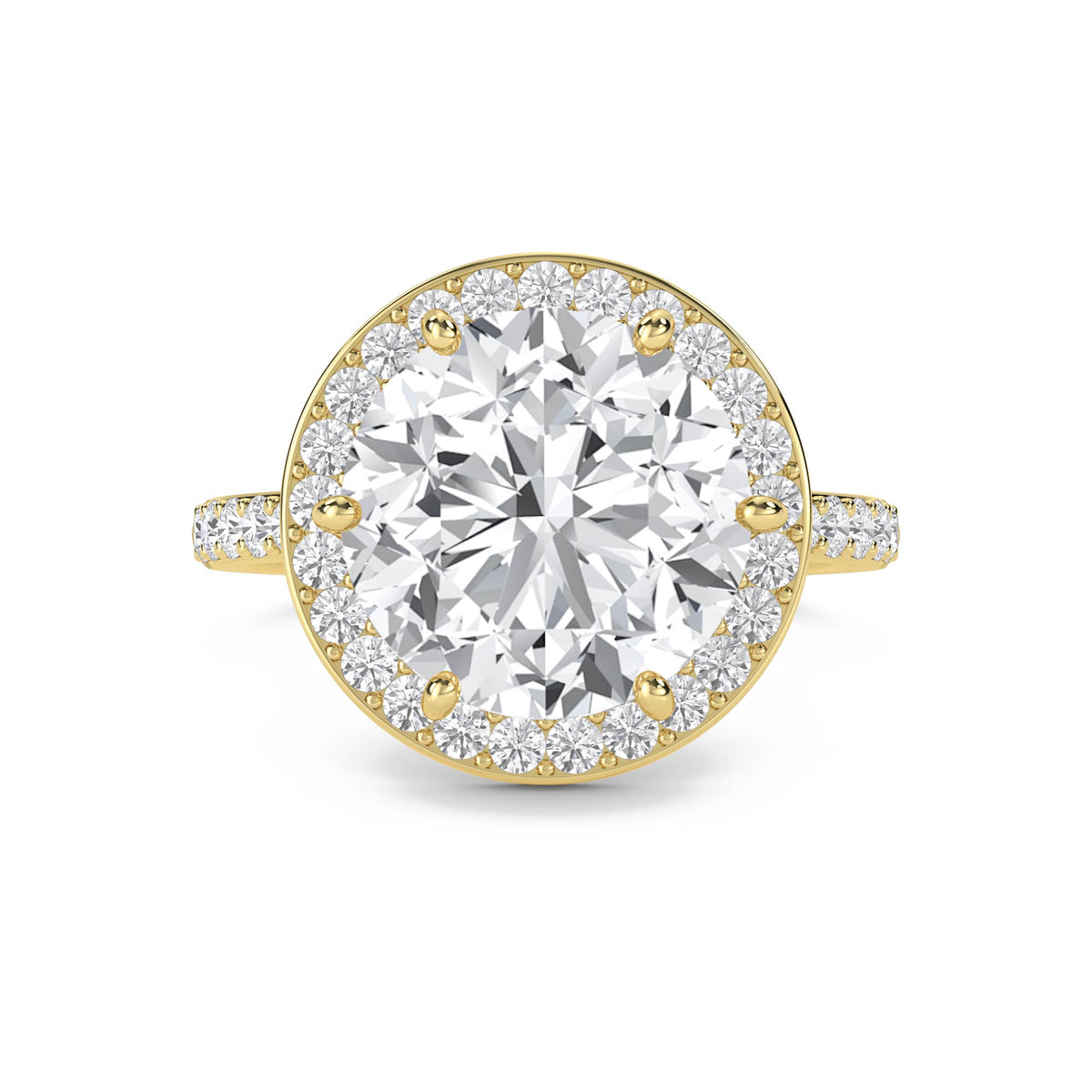 Round Halo Pavé Band Lab Grown Diamond Ring - image 1